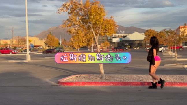 捷克街头搭讪-粉色马尾的白皮肤OL